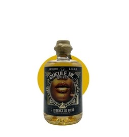 Spirit La Gueule De l' ESSENCE DE BIERE 50cl